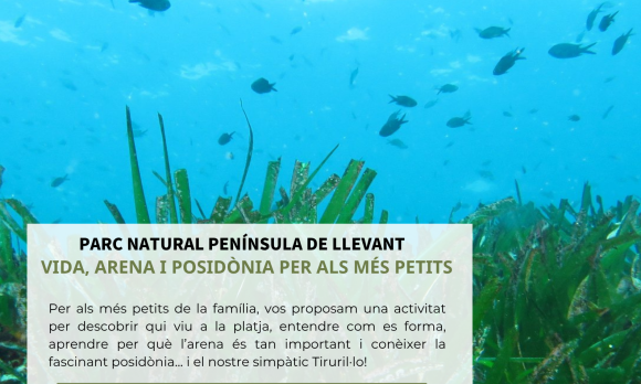 Cartell