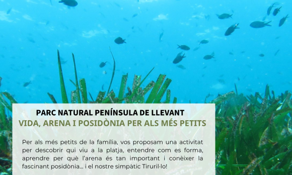 Cartell
