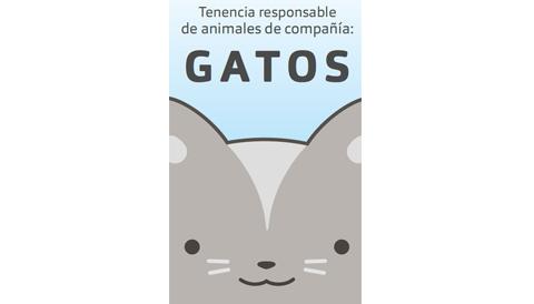 Tenencia responsable de animales de compañía: Gatos