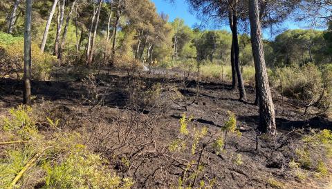 Conat d'incendi al bosc de Cala Agulla