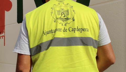Cartell