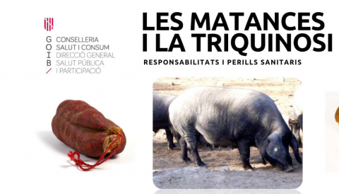 MATANCES DOMICILIÀRIES