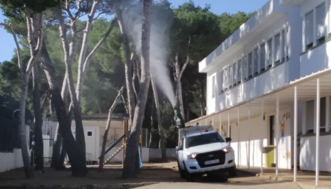 combatre els cucs
