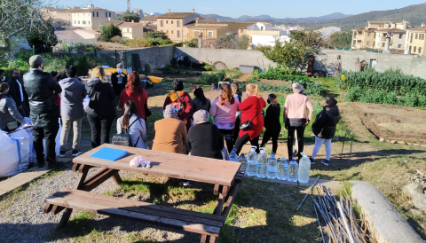 projecte millora