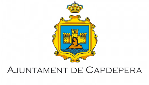 gestió tributària 