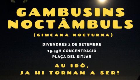 GAMBUSINS NOCTÀMBULS 