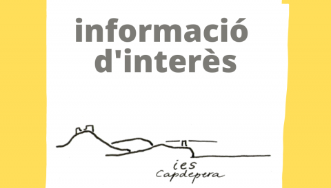 IES CAPDEPERA.