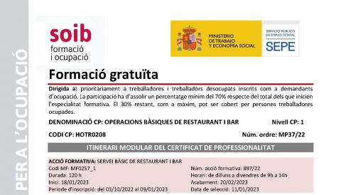 SOIB formació i ocupació