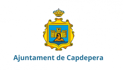 SERVEIS DE NETEJA VIÀRIA