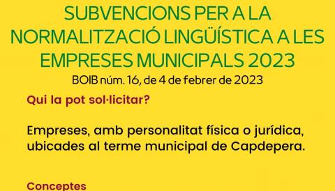 SUBVENCIONS PERA LA NORMALITZACIO LINGUISTICA A LES EMPRESES MUNICIPALS 2023