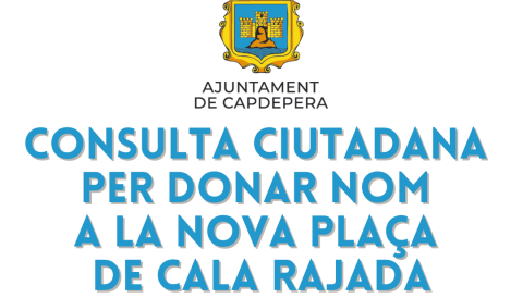 consulta