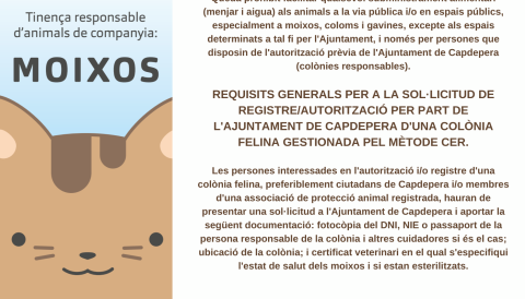 alimentar els animals a la via pública