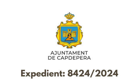 manteniment del parc de sistemes d'alimentació ininterromputs (SAIS) 