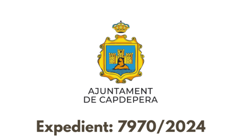 servei de gestió i comptabilitat de subministraments energètics