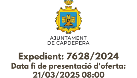 transformació digital dels serveis municipals
