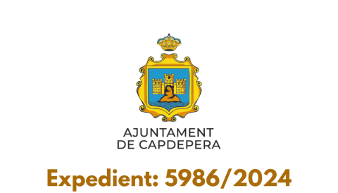 licitació 