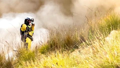 incendi forestal
