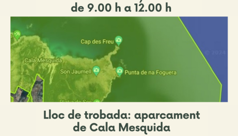 Cala Mesquida