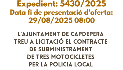 licitació 
