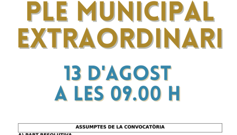  ple municipal extraordinari. 