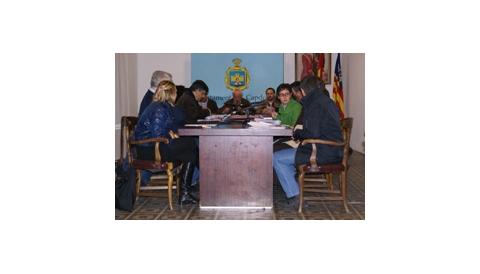 Ple ordinari de febrer