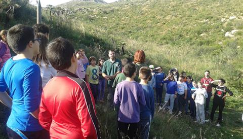 Plantació d’arbres amb els col·legis S’Auba i i S’Alzinar
