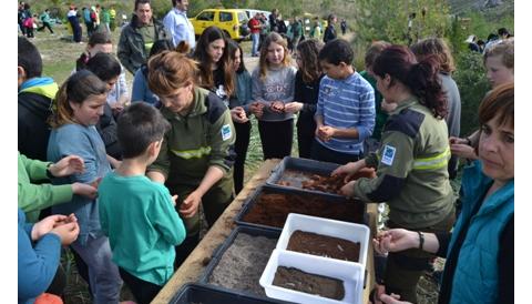 Capdepera participa en la jornada de reforestació comarcal per celebrar l’aniversari del concurs ‘Ni 1 foc al bosc’