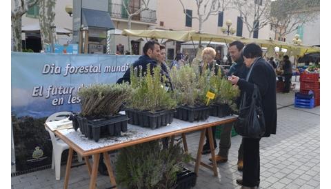 Medi Ambient regala plantes per celebrar el Dia Mundial Forestal