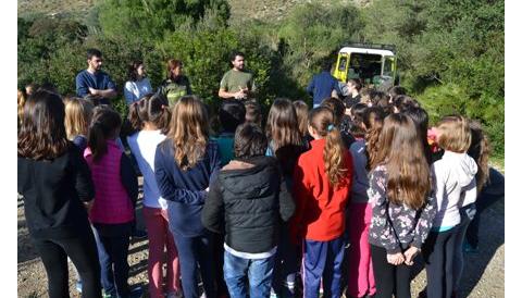 Els alumnes de S’Auba i S’Alzinar reforesten Sa Duaia-Es Recó