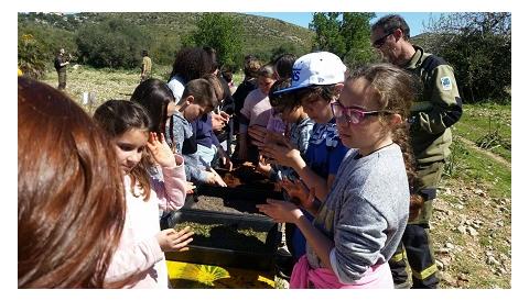 Els alumnes de S’Auba i S’Alzinar participen d’una jornada forestal a Sa Duaia