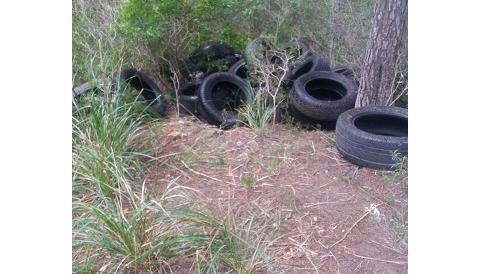 Medi Ambient denuncia un nou abocament il·legal de residus al bosc de cala Gat