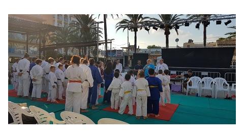 Sus a Sant Roc amb el judo, el cercavila i el pregó