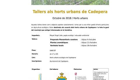 Taller d'horts urbans a Capdepera