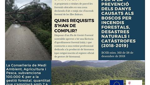 Subvenció per a la gestió forestal