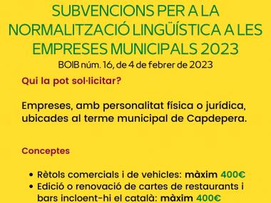 SUBVENCIONS PERA LA NORMALITZACIO LINGUISTICA A LES EMPRESES MUNICIPALS 2023