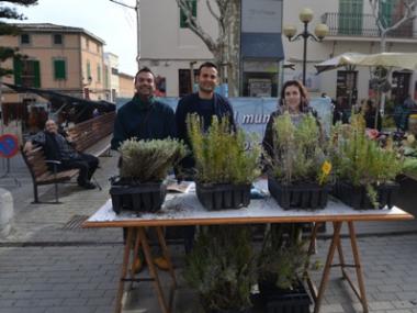 Medi Ambient regala plantes per celebrar el Dia Mundial Forestal