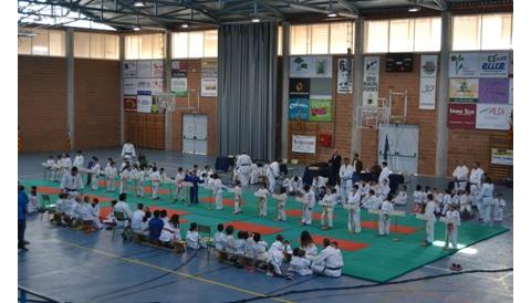 XXXI trofeu Cala Rajada de judo per a l'edat escolar