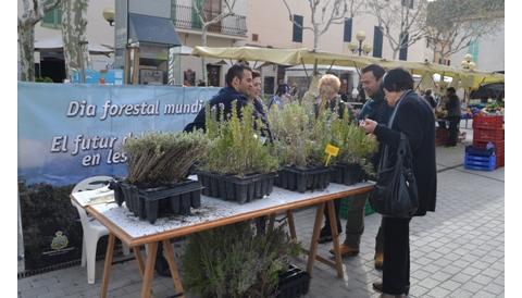 Medi Ambient regala plantes per celebrar el Dia Mundial Forestal