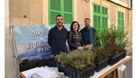 Medi Ambient regala plantes per commemorar el Dia Mundial Forestal